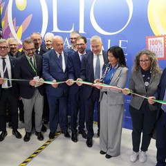 Trieste Olio Capitale