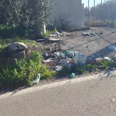 Strada provinciale 43 invasa dai rifiuti e piena di buche