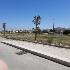 lavori di pulizia al quartiere di San Valentino