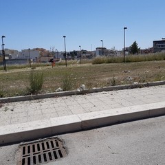 lavori di pulizia al quartiere di San Valentino