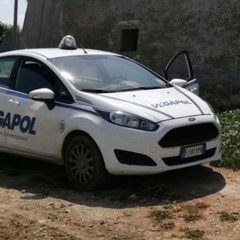 Furto di antiche chianche da una masseria di Andria sventato dalla Vegapol