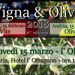 Vigna Olivo marzo Olivo