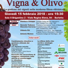 Vigna Olivo programma Barletta def