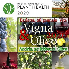 Vigna Olivo dates