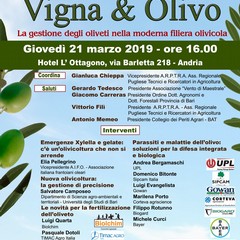 Vigna Olivo Andria programma marzo