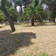 Villa comunale trascurata