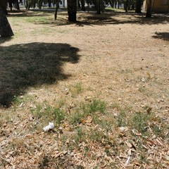 Villa comunale trascurata