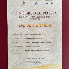 Istituto Comprensivo “Verdi-Cafaro”