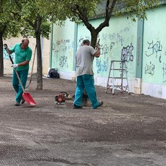 Bonificata l'area retrostante mercatino rionale di viale Virgilio