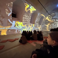 Visita Guidata Exploring Federico