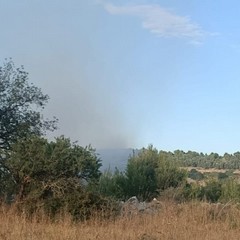 Vasto incendio sulla Murgia: 200 ettari percorsi dalle fiamme