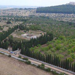 Finanza scopre piantagione di marijuana ai piedi di Castel del Monte