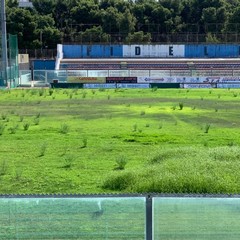 Le attuali condizioni del manto erboso allo stadio "Degli Ulivi"