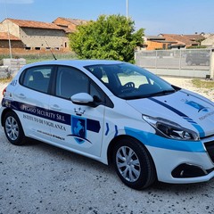 Pegaso Security