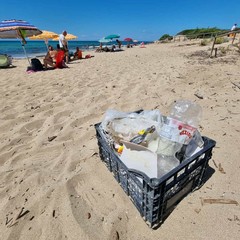 Cassetta di rifiuti raccolti in spiaggia in appena sei minuti