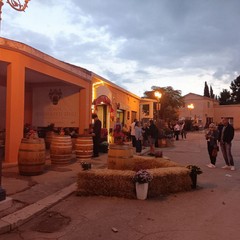 Il borgo di Montegrosso ospita il Cultural Rural Edition