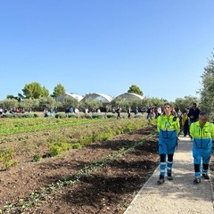 "Scuola al Borgo" Montegrosso