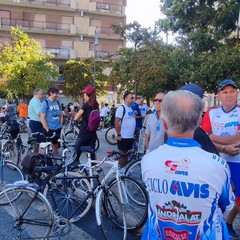 Gruppo Sportivo Ciclo Avis Andria