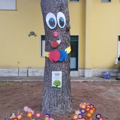 Il grande albero del centro diurno "Dopo di noi" Andria