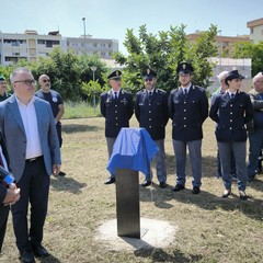 Festival della Legalità ad Andria