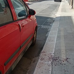 Accoltellamento ad Andria