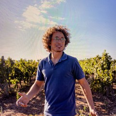L'enologo Giuseppe Capurso della Cantina Puerulo di Andria
