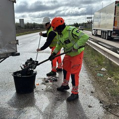 Incidente sulla ex 98 tra Andria e Corato: coinvolti più veicoli