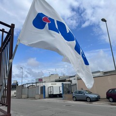 Raccolta di sangue organizzata da AVIS Andria