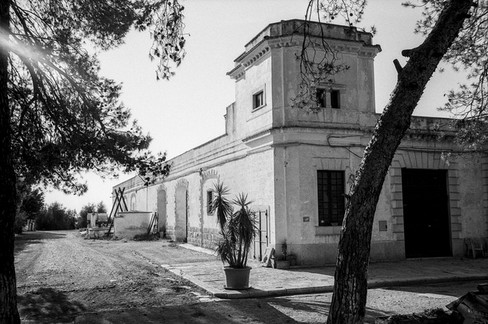azienda agricola