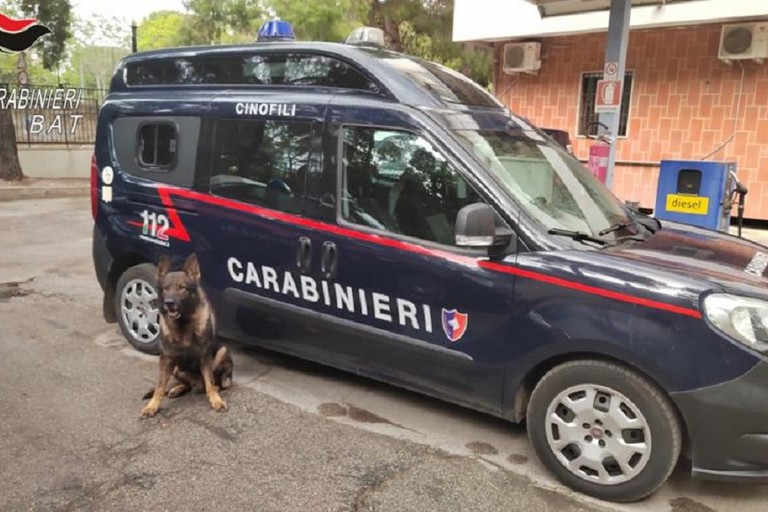 carabinieri cinofili