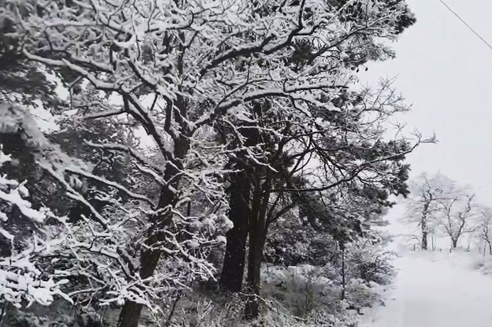 Neve a Spinazzola