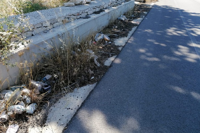 strada provinciale Andria Bisceglie sporca di rifiuti