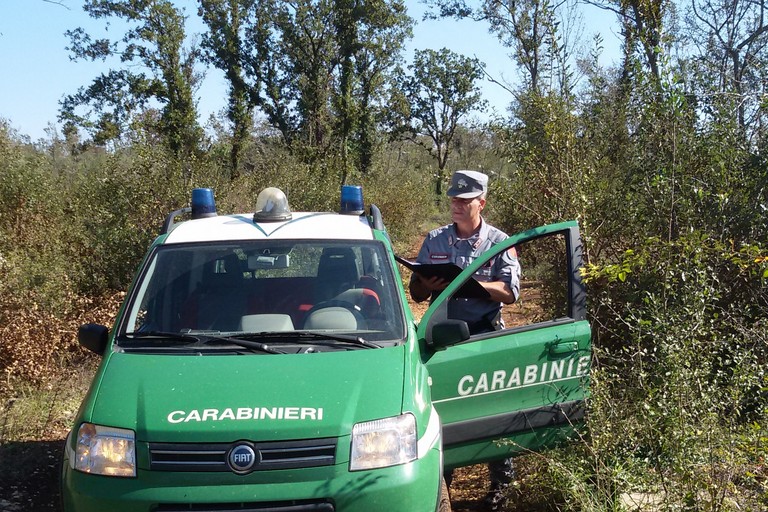 carabinieri forestali