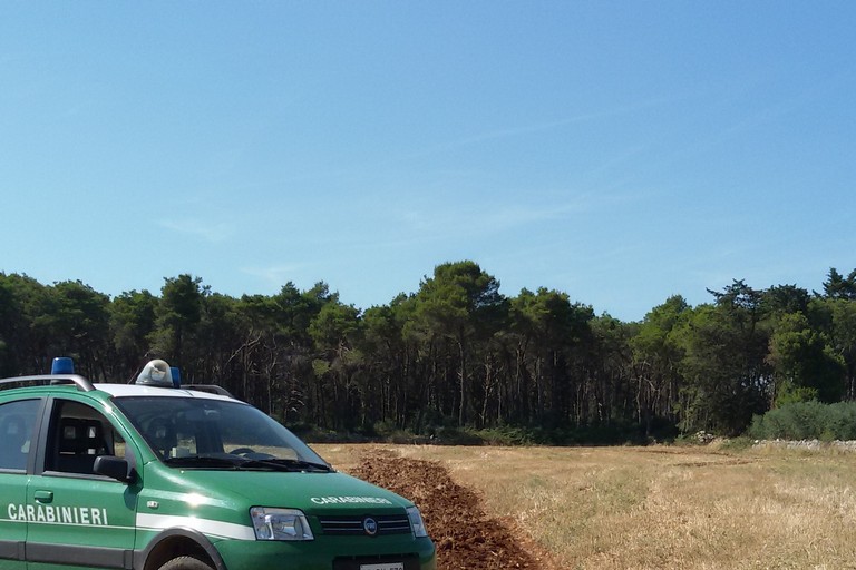 Carabinieri forestali