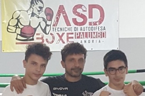 Boxe Palumbo