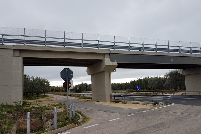 Ponte Martinelli