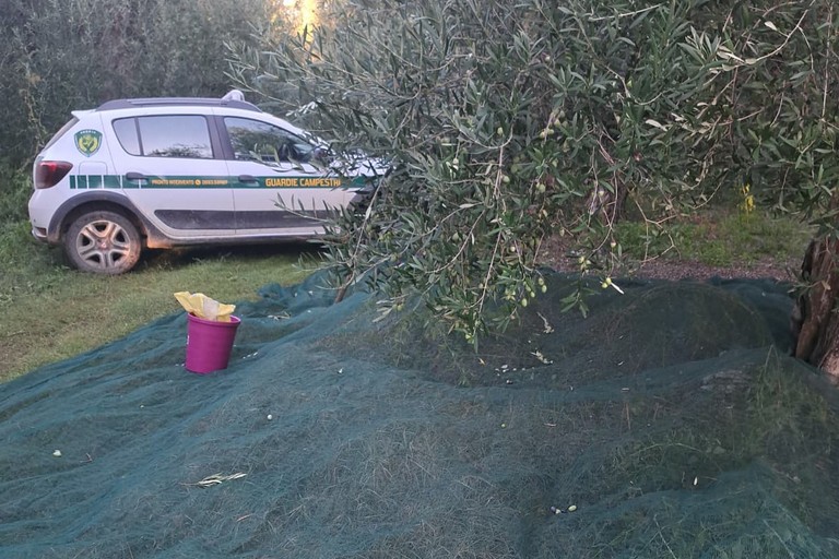 L'intervento a contrada Capoposta