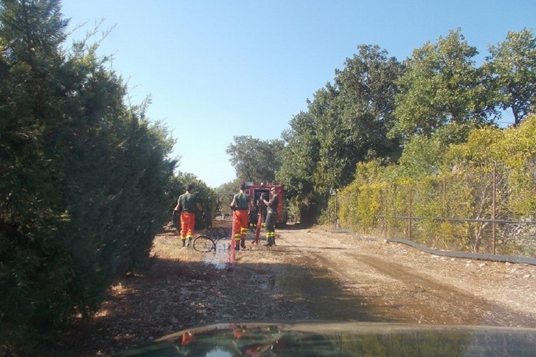 Vigili del Fuoco