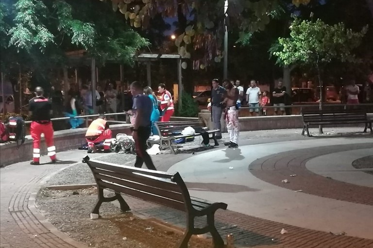 Rissa al parco