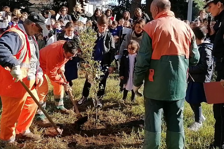 Festa dell'Albero