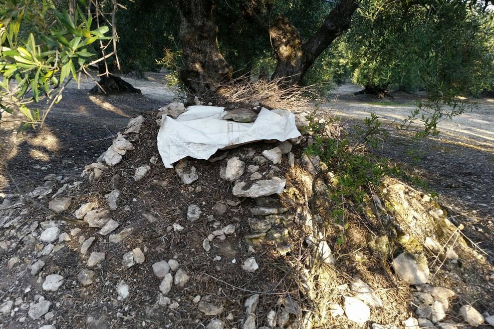 Furti di auto