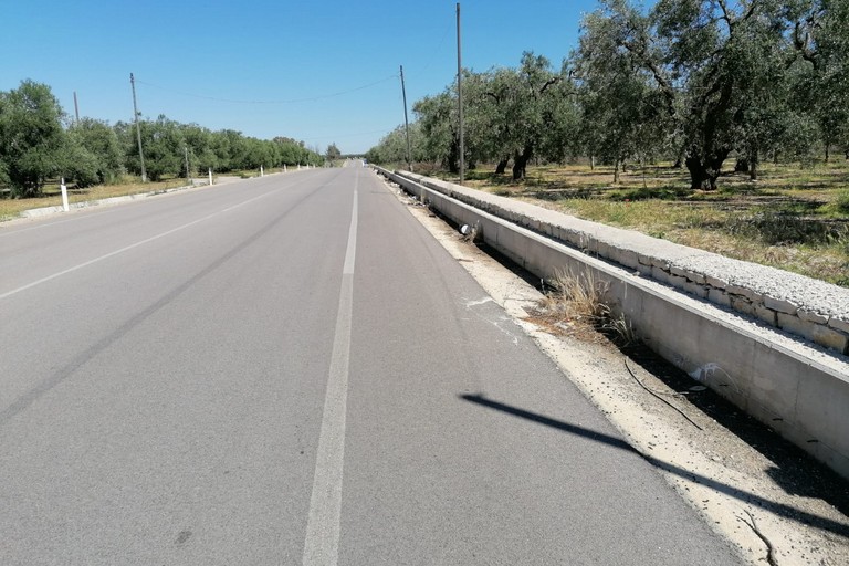 strada provinciale Andria Bisceglie sporca di rifiuti