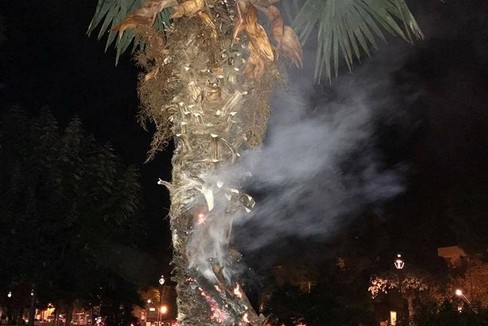 palma incendiata