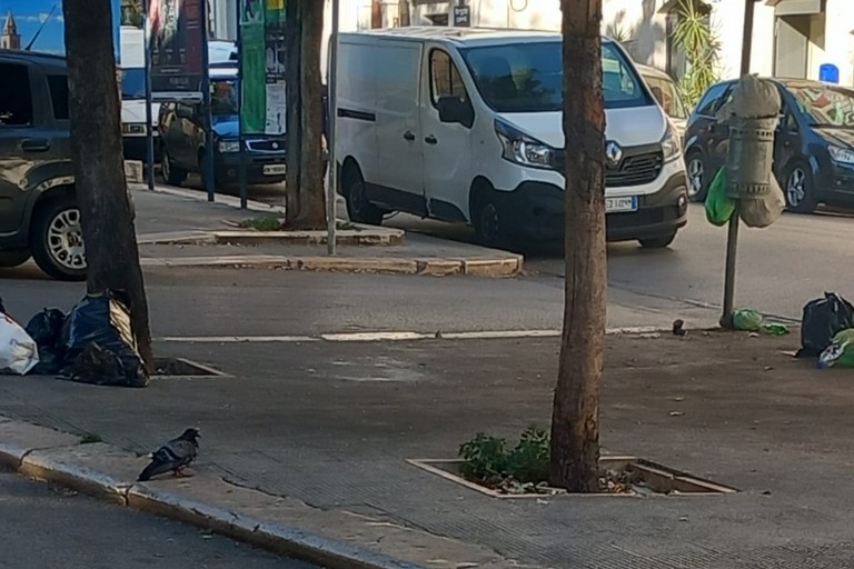 Desolante conferma: via Annunziata cosparsa di buste di immondizia