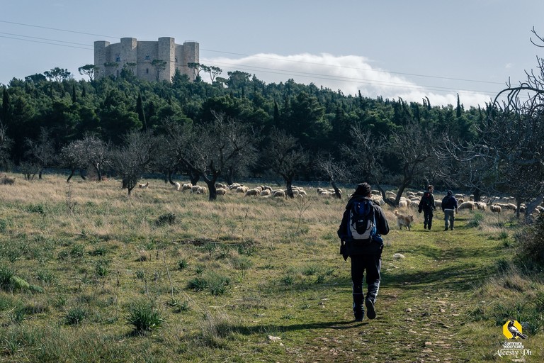 Puglia Federiciana, Cammino di Federico II