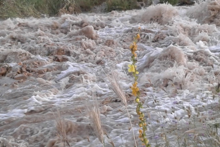 Campagne inondate a Minervino Murge