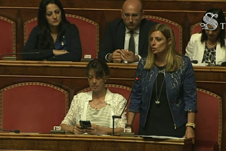 Intervento senatrice Bruna Angela Piarulli