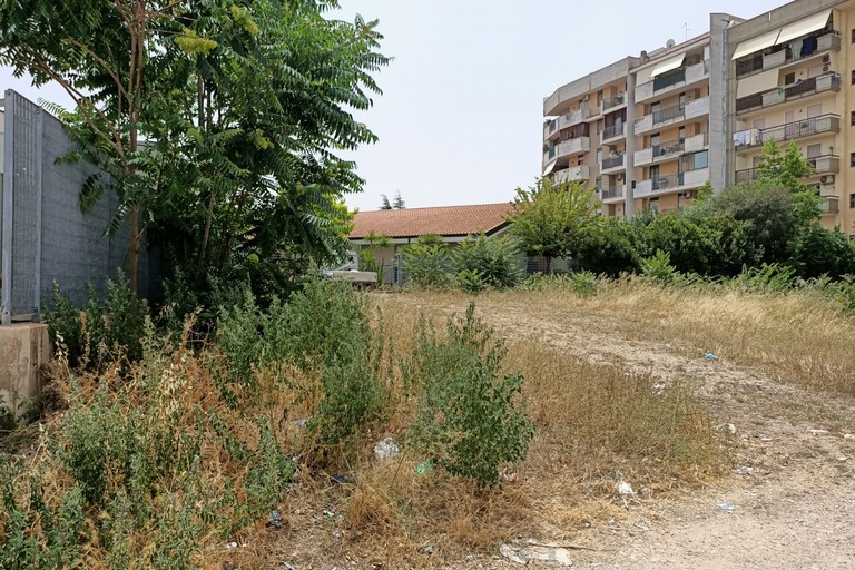 Verde pubblico ad Andria: erba alta e secca con serio rischio incendi