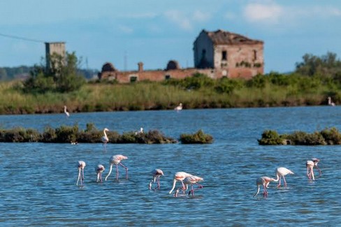 Andria Adria: un gemellaggio turistico-culturale anche per promuovere le eccellenze enogastronomiche