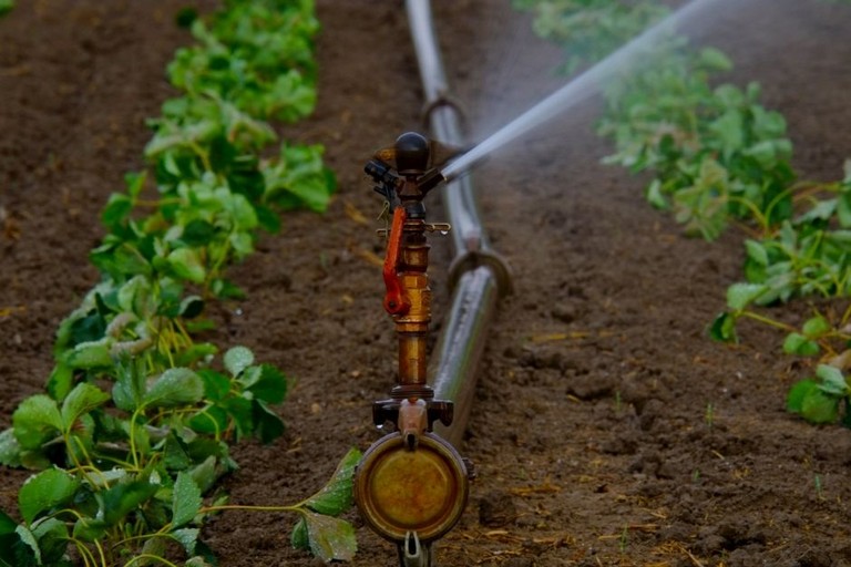 acqua agricoltura acquedotto